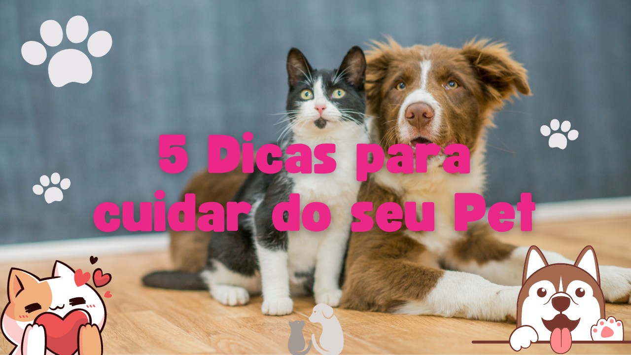 5 Dicas Importantes para Cuidar do Seu Pet-capa