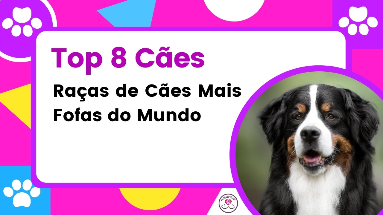 Raças de Cães Mais Fofas do Mundo