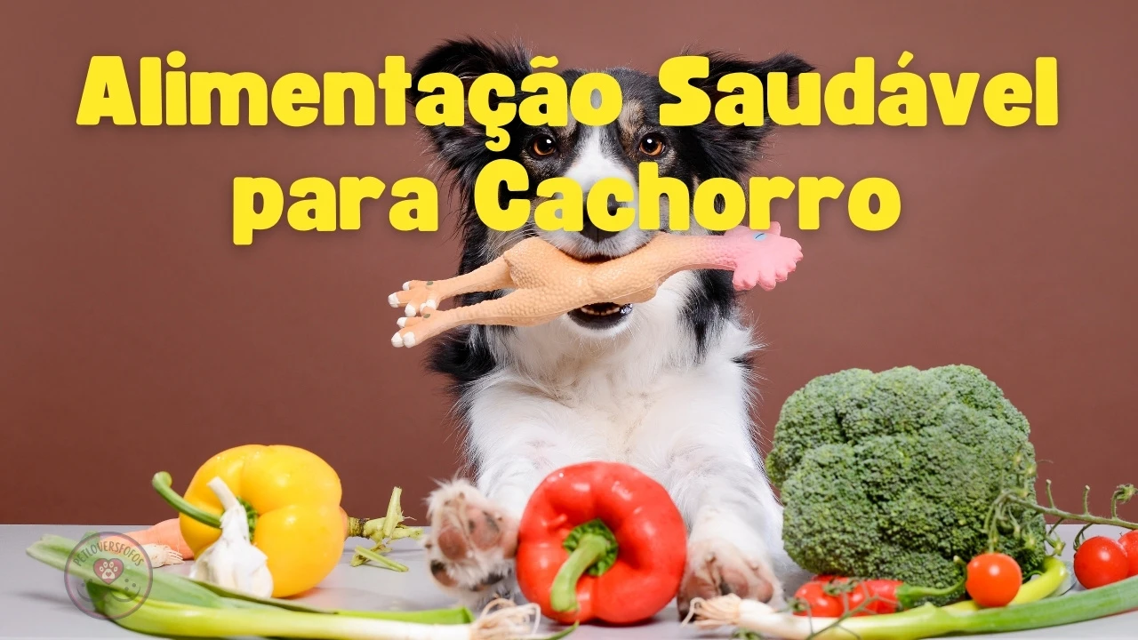 Alimentação Saudável para Cachorro - capa